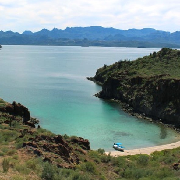 Visitar Isla Danzante – BAJA CALIFORNIA SUR, MARAVILLAS NATURALES